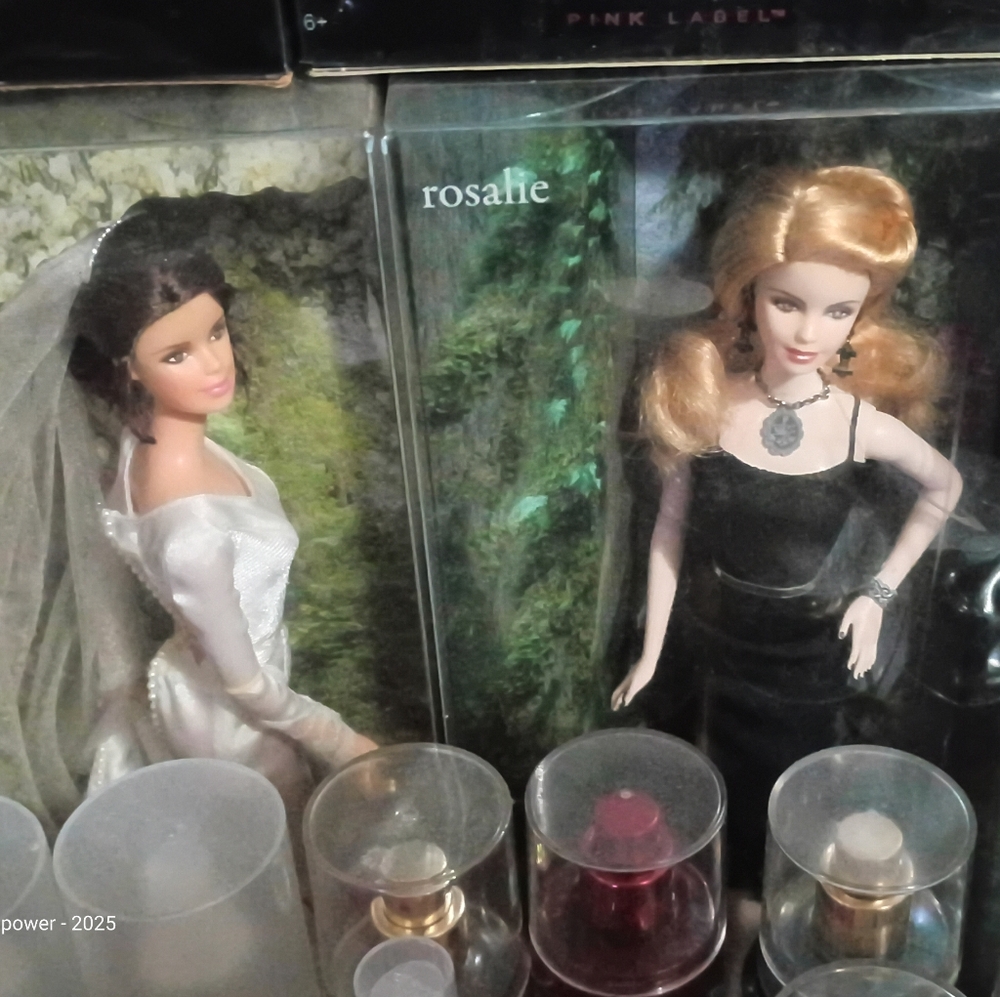 Twilight Saga Barbie Doll Set - Picture 7 of 9